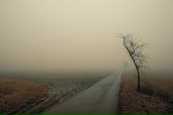 Андрій Соколовський фотография #24 (источник - https://vk.com/id17320598)