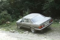 Олег Вавринів фотография #46 (источник - https://vk.com/id6581379)