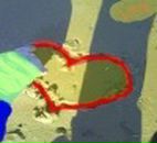 Ярослава Колісник фотография #12 (источник - https://vk.com/id78861524)