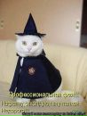 Фотография Демидовой Марины