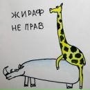 Фотография Чепикова Максима