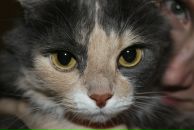 Фотография Аляевой Оксаны