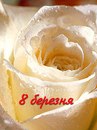Даша Радзихівська фотография #7 (источник - https://vk.com/id168239266)