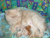 Фотография Русских Сергей