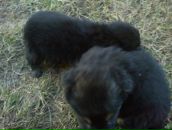 Михайло Пілавка фотография #8 (источник - https://vk.com/id30149017)