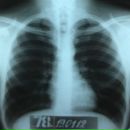 Фотография Дворецкого Антона