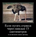Олічка Ліщишина фотография #33 (источник - https://vk.com/id153689759)