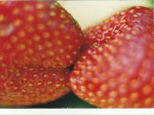 Фотография Сироты Жени