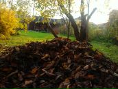 Игорь Дмитриев фотография #15 (источник - https://vk.com/id2869514)