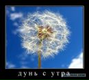 Фотография Дорофеева Максима