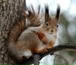 Фотография Шурухиной Ирины