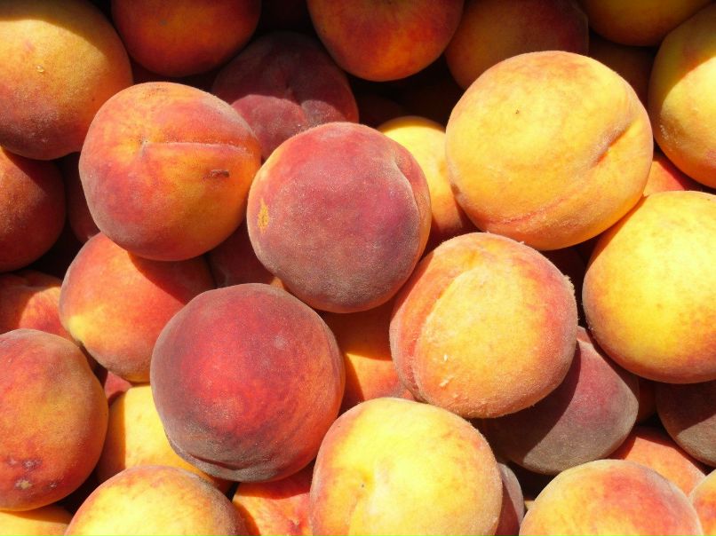 Оля Сынку фотография #2