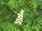 Фотография Исмаиловны Анны