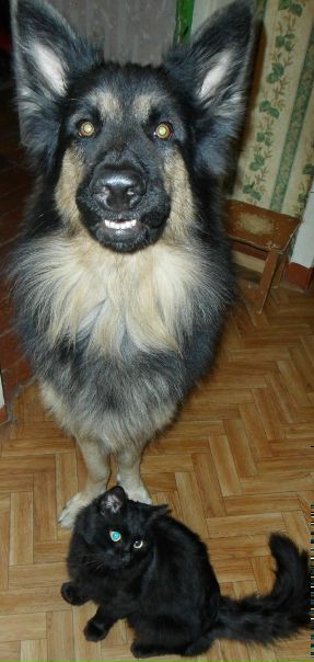 Админы Удалите фото №1