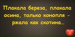 Вова Каськів фотография #25 (источник - https://vk.com/id138455151)