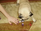 Фотография Шабановой Елены