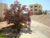 Фотография Кристиной Тренер