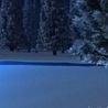 Соломія Самбірська фотография #46 (источник - https://vk.com/id144102689)