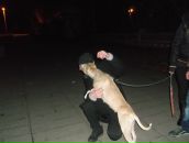 Рома Емец фотография #42 (источник - https://vk.com/id64885954)