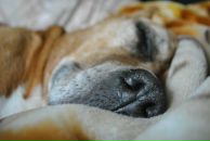 Фотография Тарабриной Елены