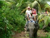 Мария Куриленко фотография #12 (источник - https://vk.com/id2772372)