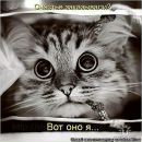 Фотография Braun Anna