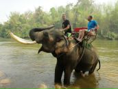 Фотография Man Виктора