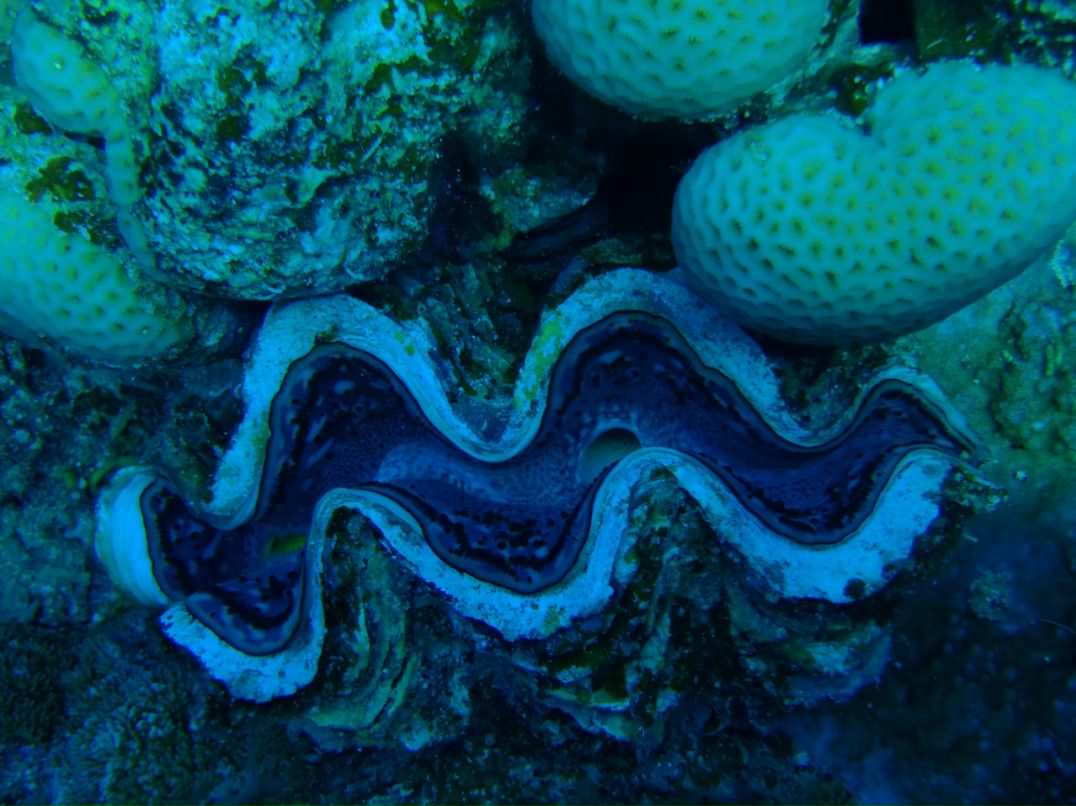 Vit Mi фотография #35