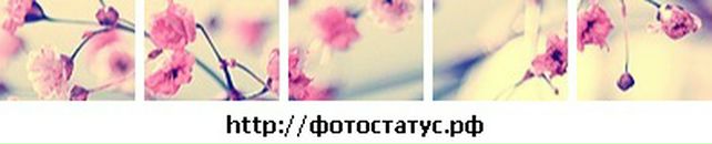 Ольга Гурнік фотография #11 (источник - https://vk.com/id112172004)