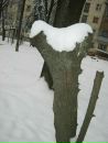 Андрій Пожога фотография #6 (источник - https://vk.com/id143825018)