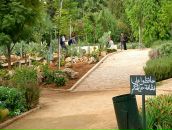 Дмитрий Фёдоров фотография #27 (источник - https://vk.com/id28347)