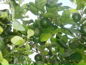 Наташа Родіонова фотография #20 (источник - https://vk.com/id13590232)