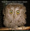 Фотография Masikova Mischa