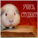 Фотография Тихоновой Марии