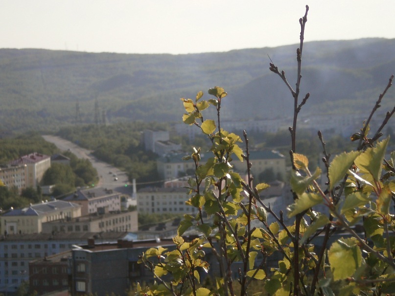 Саша Шляхов фотография #44