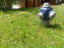 Славік Волков фотография #28 (источник - https://vk.com/id104548236)