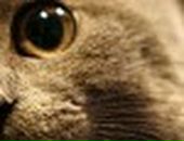 Іванка Золота фотография #24 (источник - https://vk.com/id139708248)