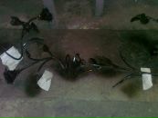 Віктор Сидоренко фотография #45 (источник - https://vk.com/id96298430)