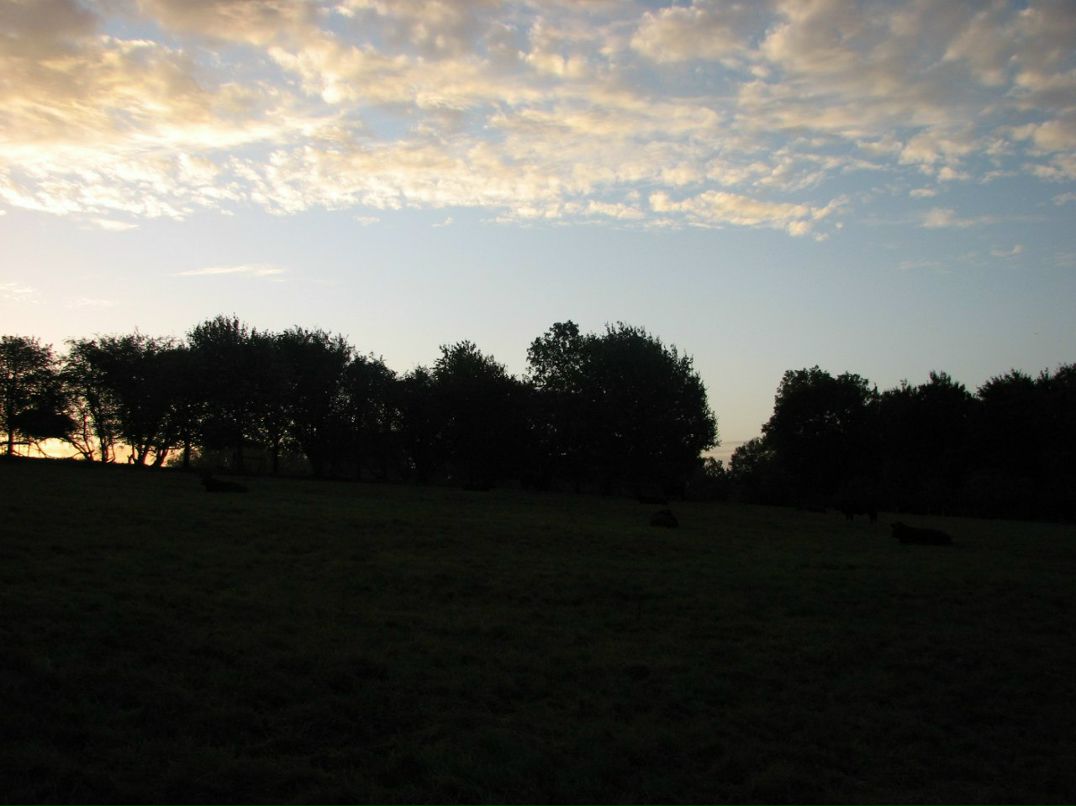 Ромул Рем фотография #9