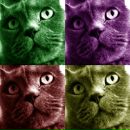 Виталий Турчинский фотография #37 (источник - https://vk.com/id351277)