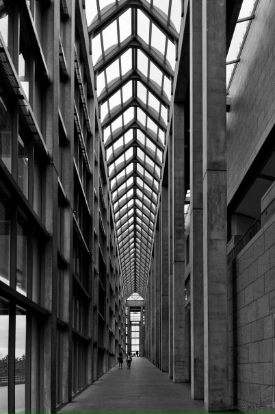 Антон Басов фото №28