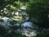 Igor Igor фотография #49 (источник - https://vk.com/id577602)