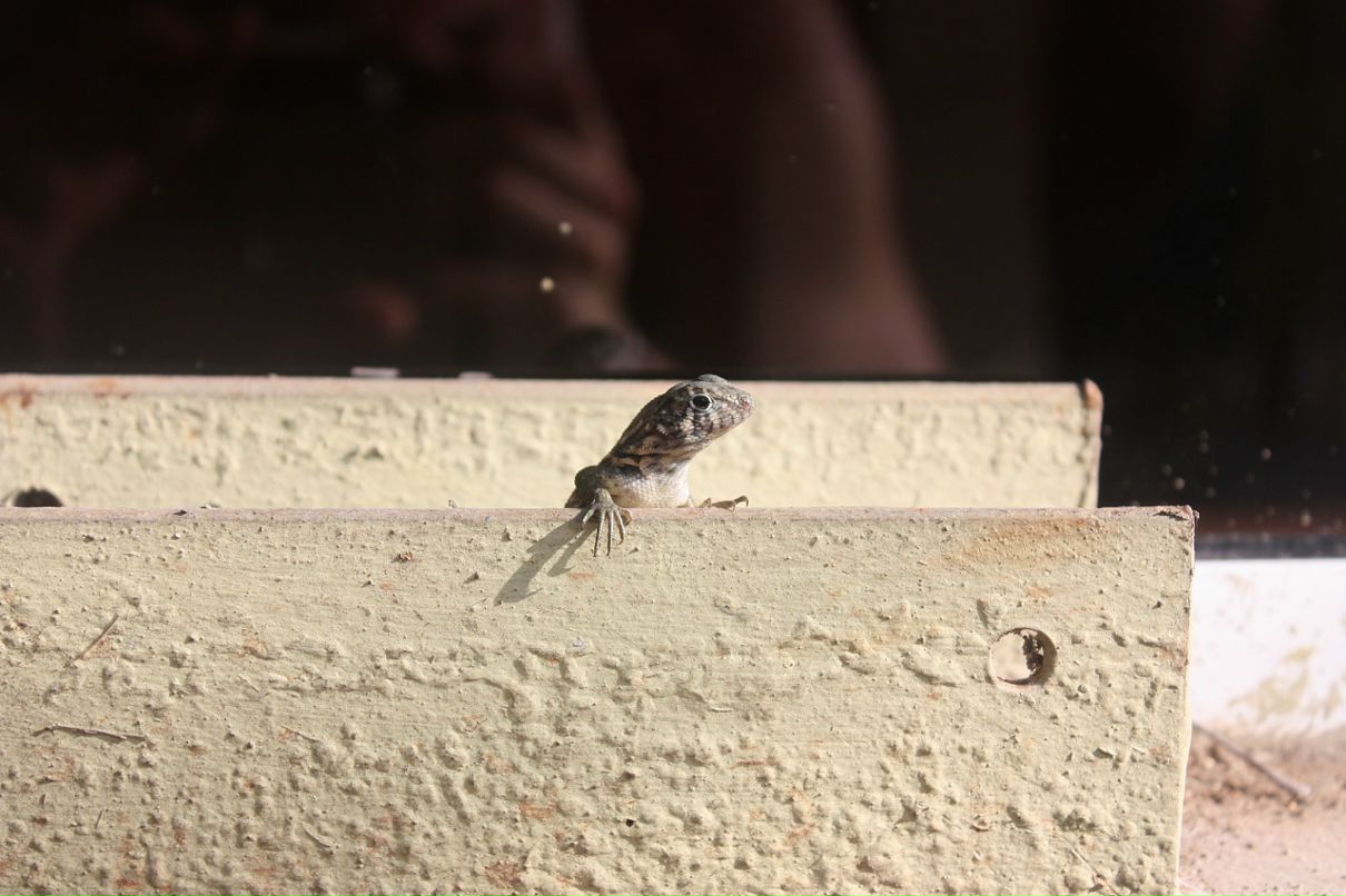 Сергей Коваленко фотография #46