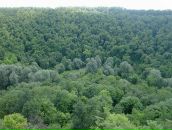 Саня Білий фотография #2 (источник - https://vk.com/id103955625)