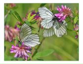 Фотография Савченко Маргариты