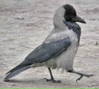 Фотография Давыдовой Ольги