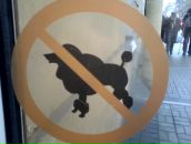 Фотография Соловьева-Тесаловского Георгия