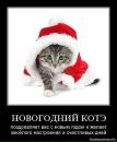 Фотография Романовой Татьяны