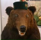 Артур Дедов фотография #32 (источник - https://vk.com/id452799)