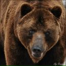 Міша Левицький фотография #15 (источник - https://vk.com/id8253089)